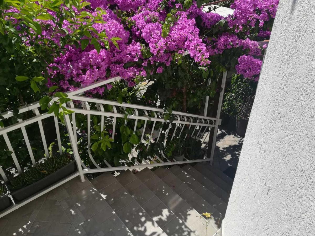 فندق Dalmati House بروداريكا المظهر الخارجي الصورة