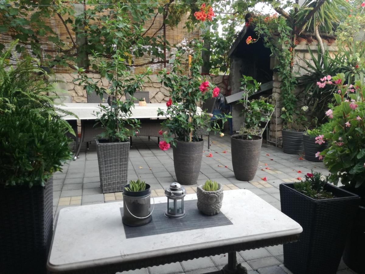 فندق Dalmati House بروداريكا المظهر الخارجي الصورة