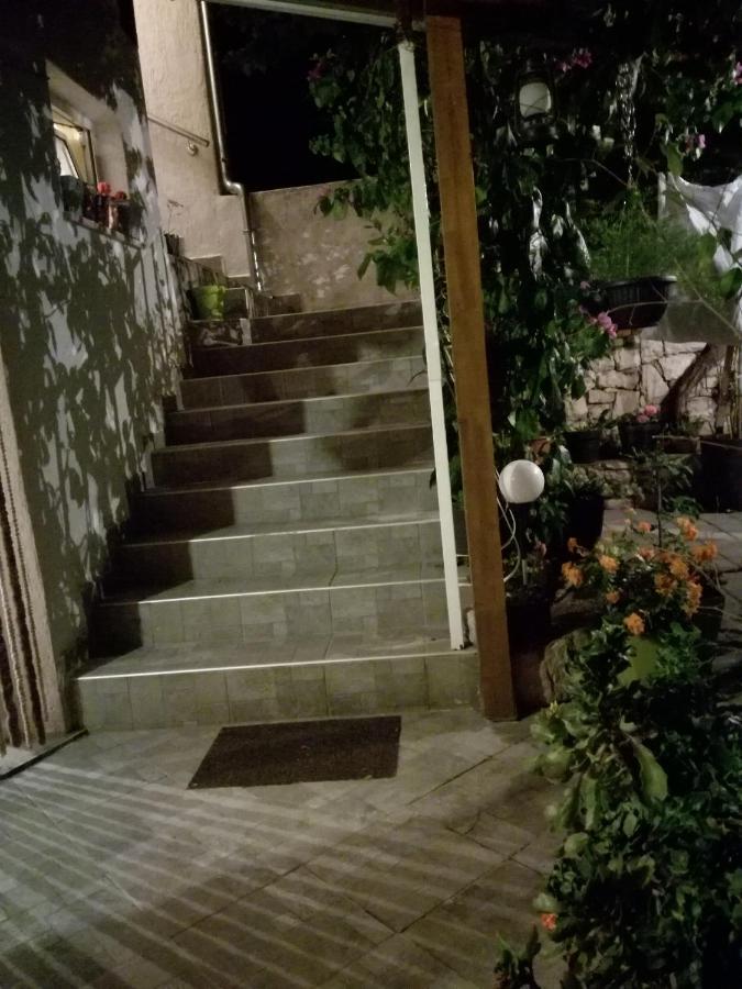 فندق Dalmati House بروداريكا المظهر الخارجي الصورة