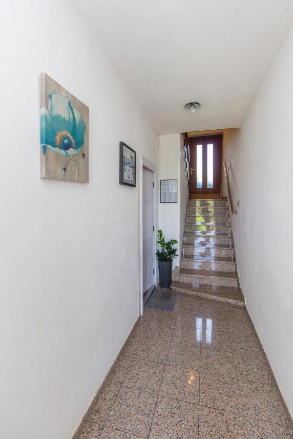 فندق Dalmati House بروداريكا المظهر الخارجي الصورة