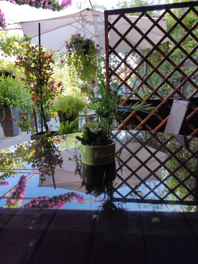 فندق Dalmati House بروداريكا المظهر الخارجي الصورة