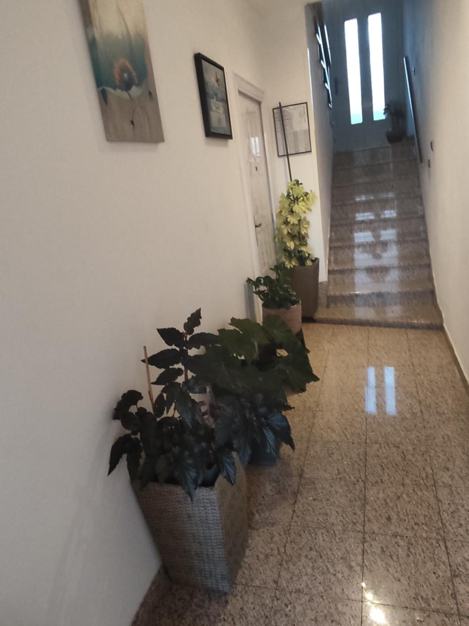 فندق Dalmati House بروداريكا المظهر الخارجي الصورة