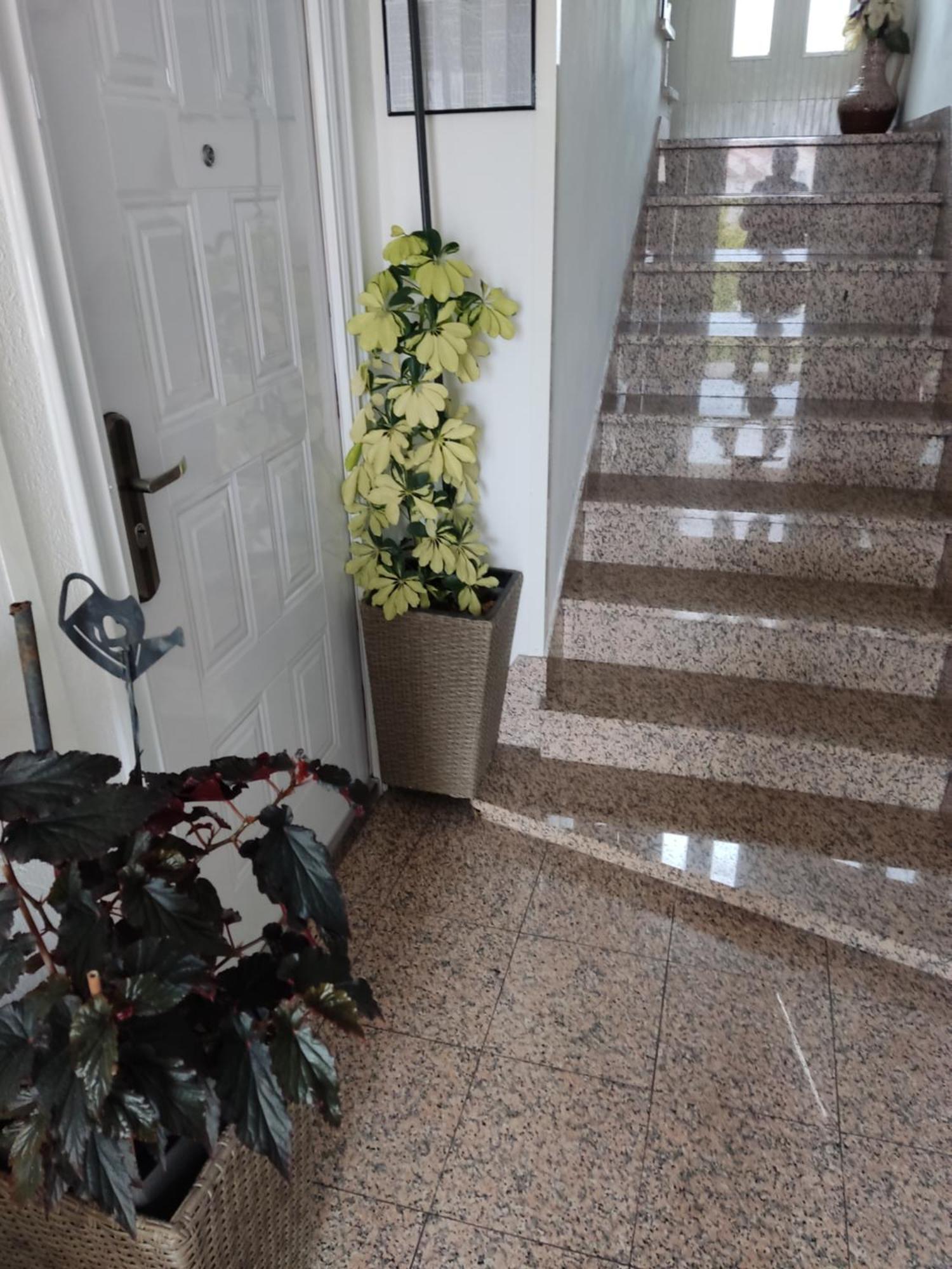 فندق Dalmati House بروداريكا المظهر الخارجي الصورة